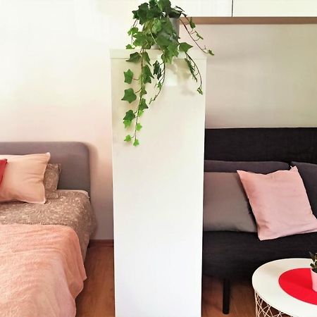 Apartament Malinowy Swietoduska 12 لوبلين المظهر الخارجي الصورة