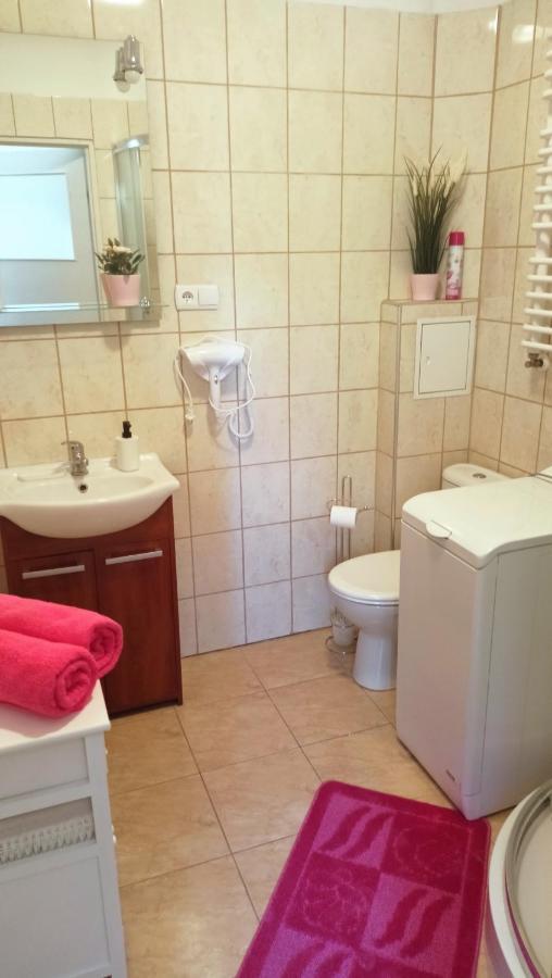 Apartament Malinowy Swietoduska 12 لوبلين المظهر الخارجي الصورة